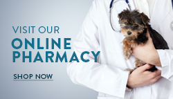Bayshore Animal Hospital Online Pharmacy